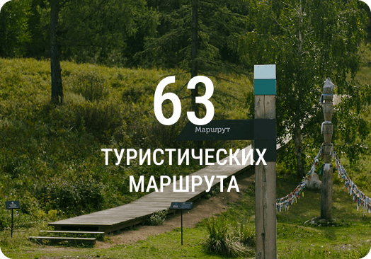 Картинка со статистикой