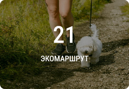 Картинка со статистикой